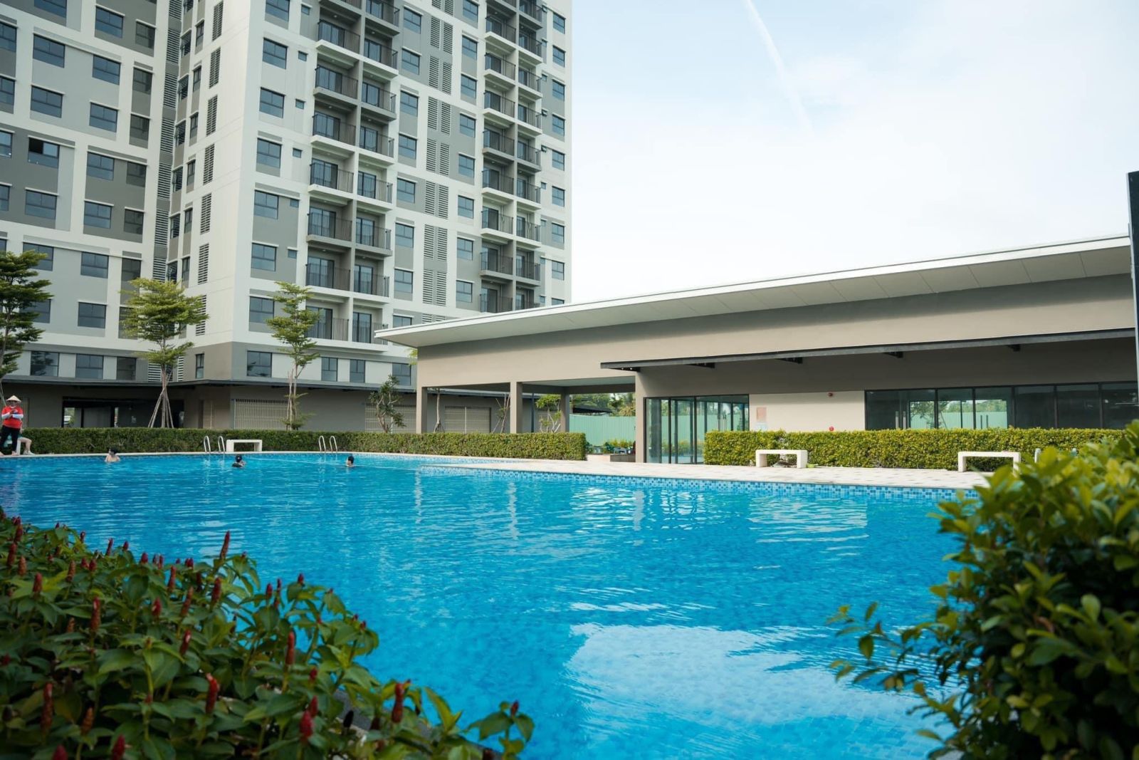 Hồ bơi căn hộ Ehome Southgate Nam Long