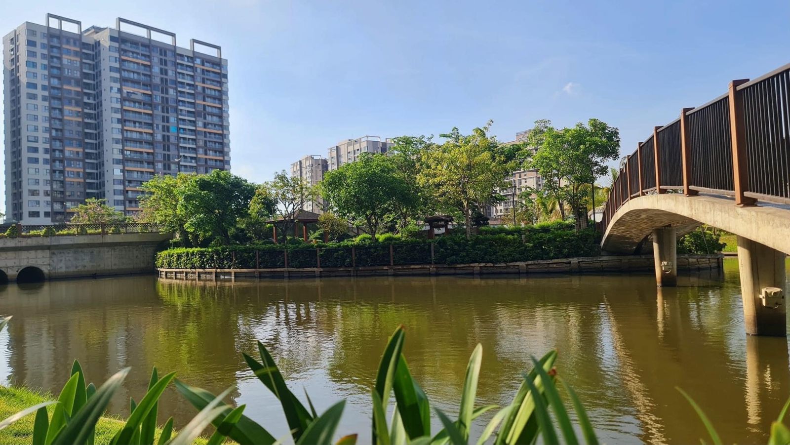 Thực tế nhà phố Mizuki Trellia Cove Nam Long