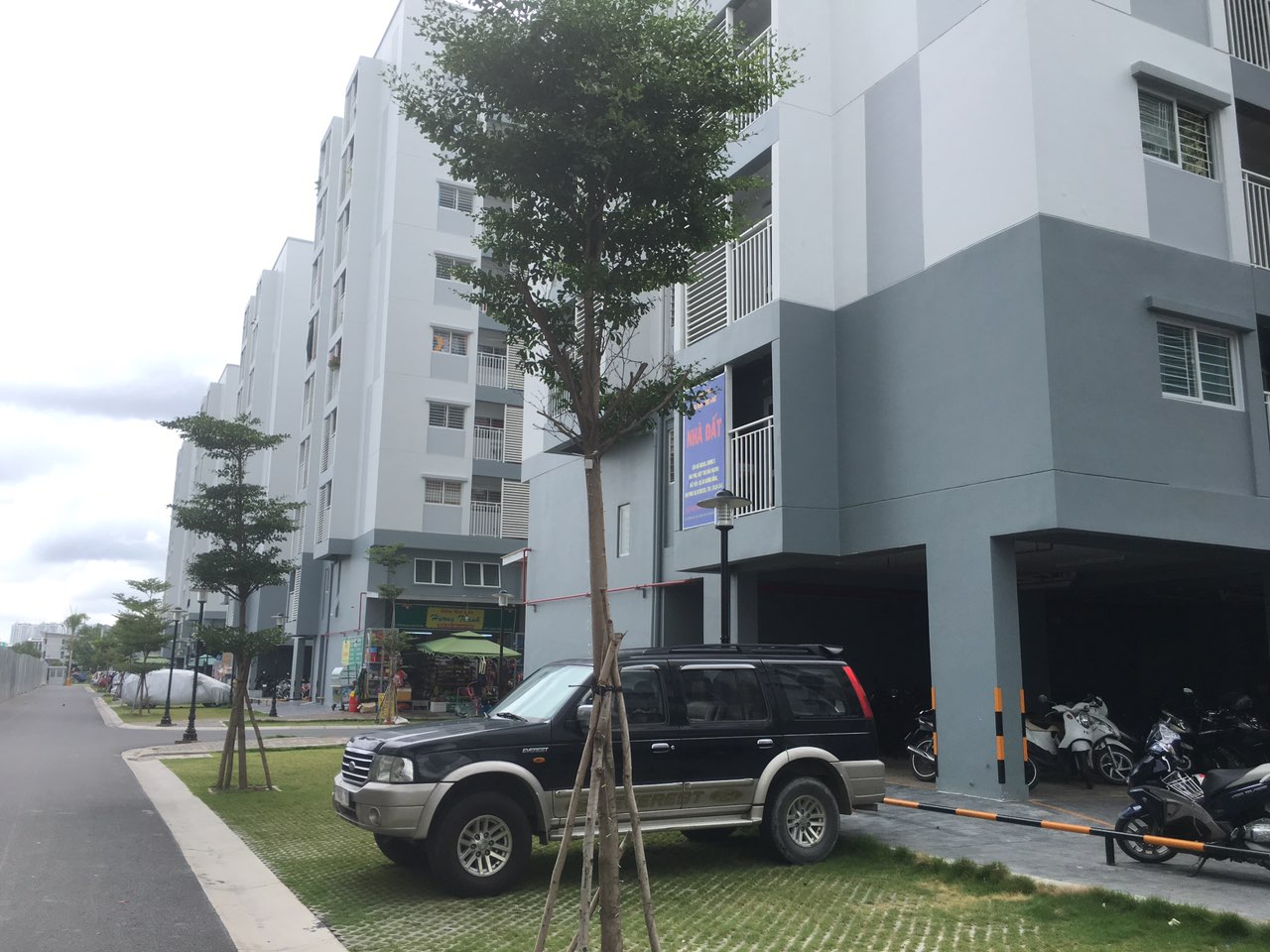 Tiến độ dự án Mizuki Park tháng 07/2019