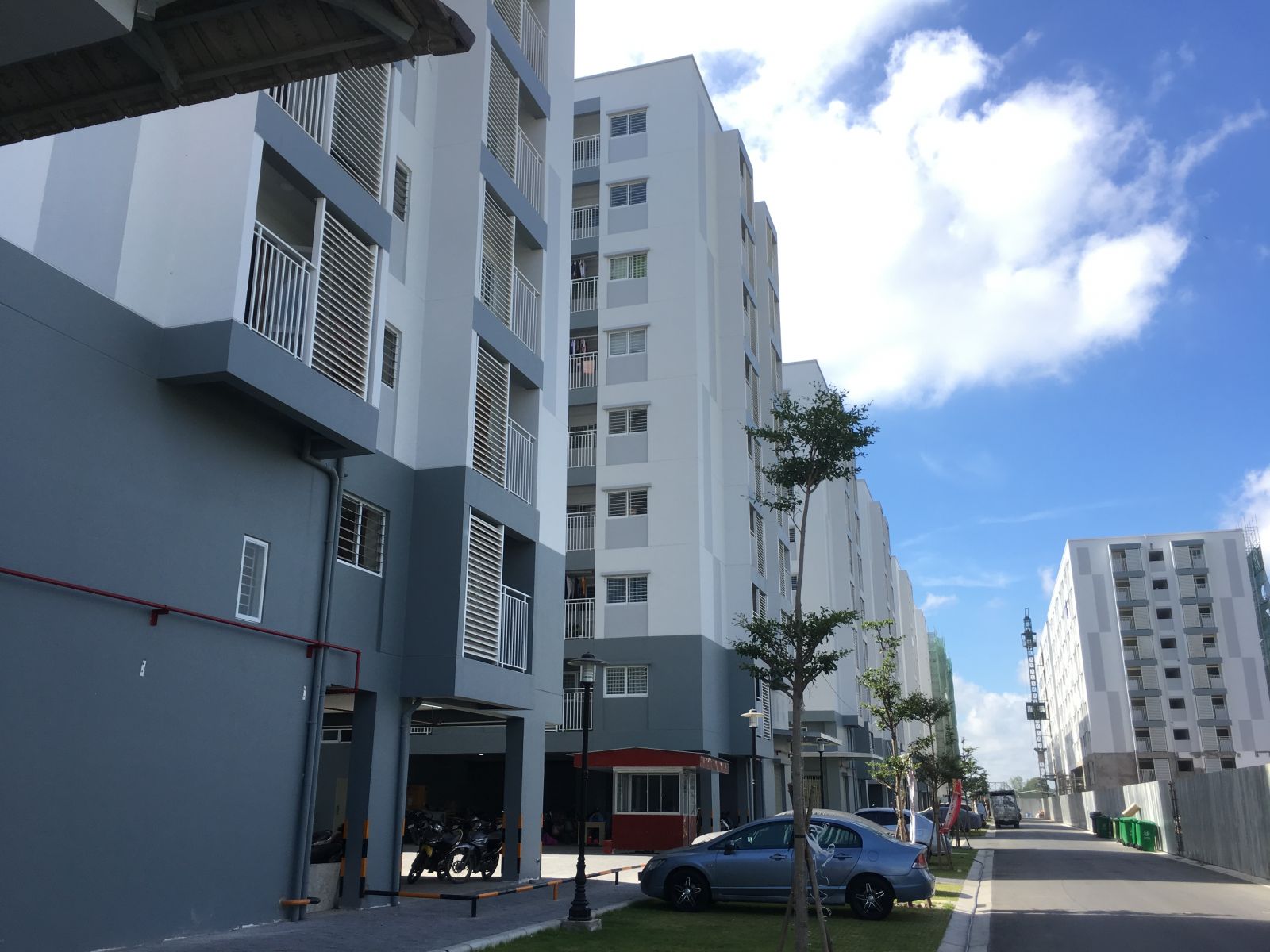 Tiến độ dự án Mizuki Park tháng 02/2019, căn hộ Ehome S