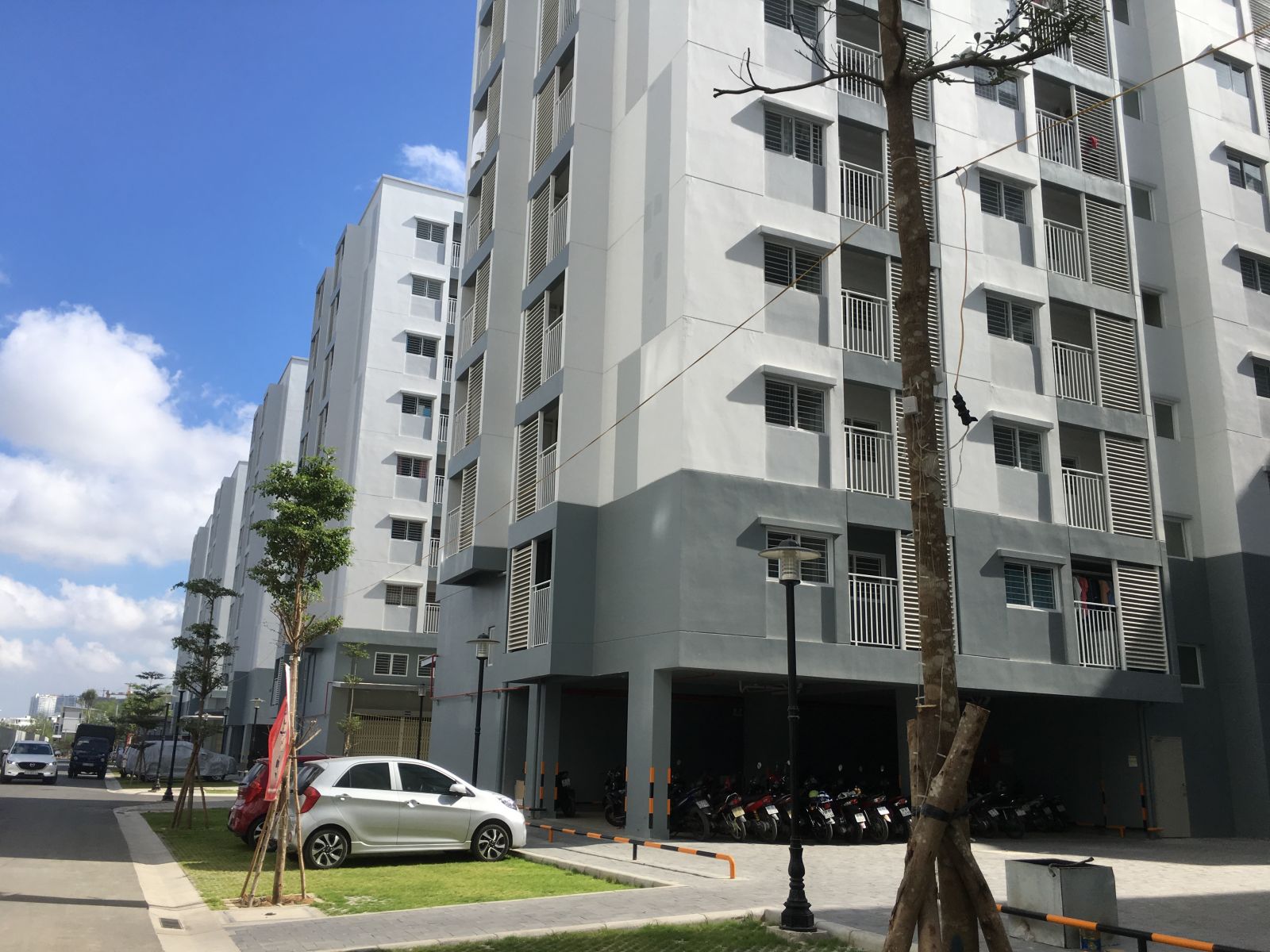 Tiến độ dự án Mizuki Park tháng 02/2019, căn hộ Ehome S